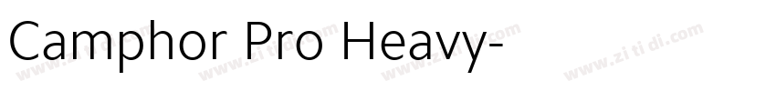 Camphor Pro Heavy字体转换